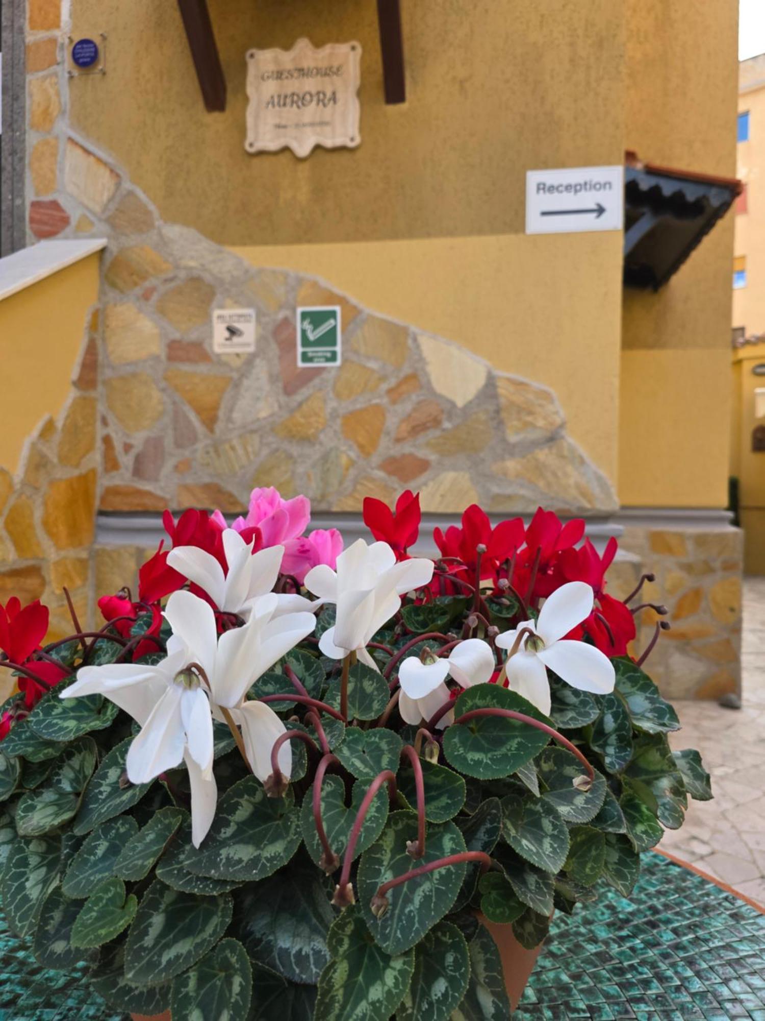 Guesthouse Aurora A.E. 로마 외부 사진